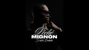 Sidiki Diabaté Péché Mignon audio officiel 2026 amour